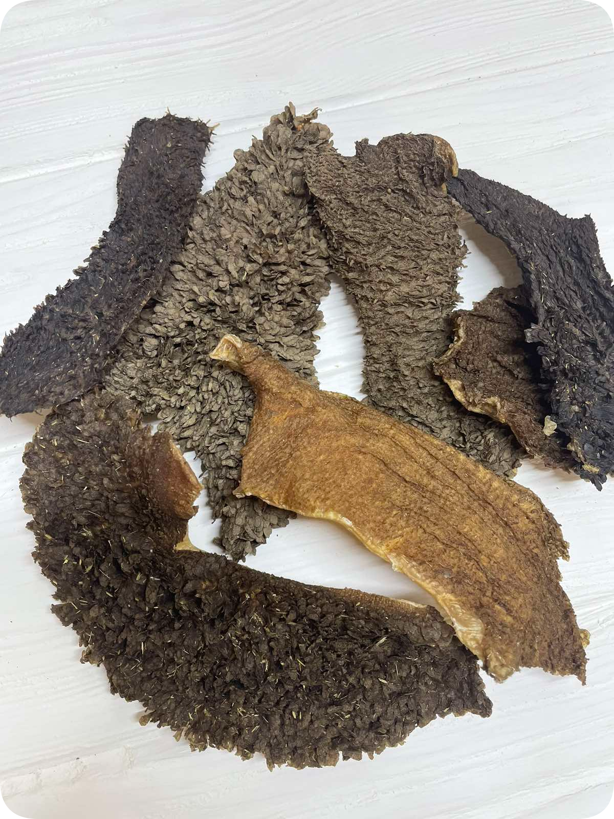Рубець яловичий